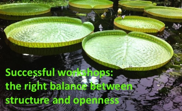 ws desgin structure and openness