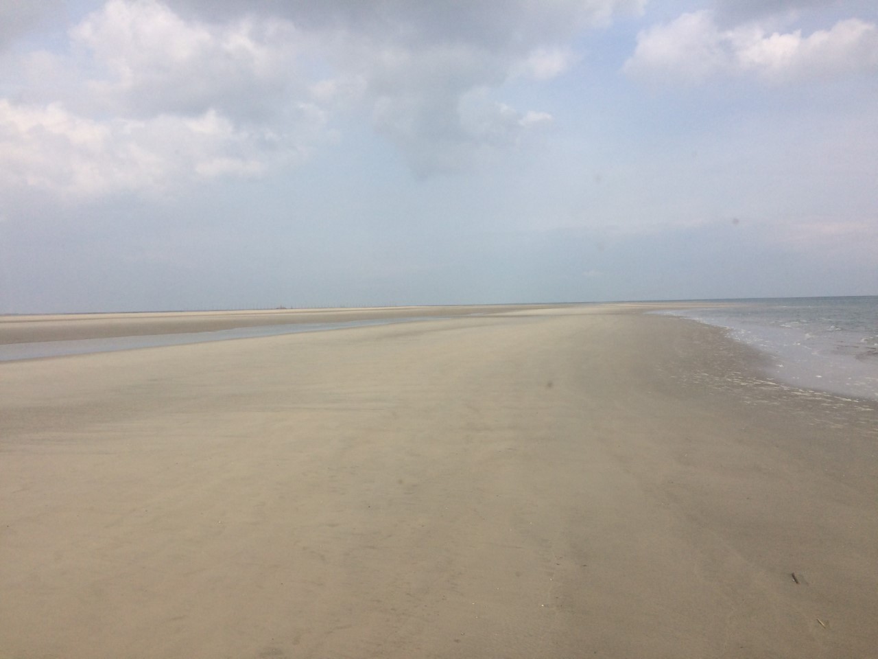 Vast space - giving curiosity a chance