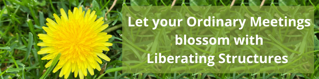With Liberating Structures your Ordinary Meetings will&nbsp;Blossom