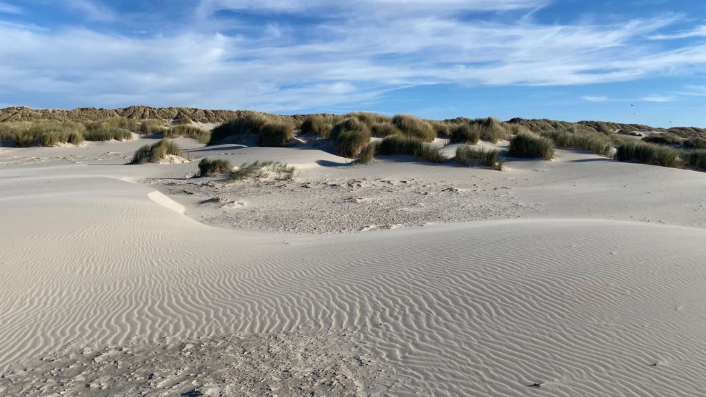 Dunes Ripples