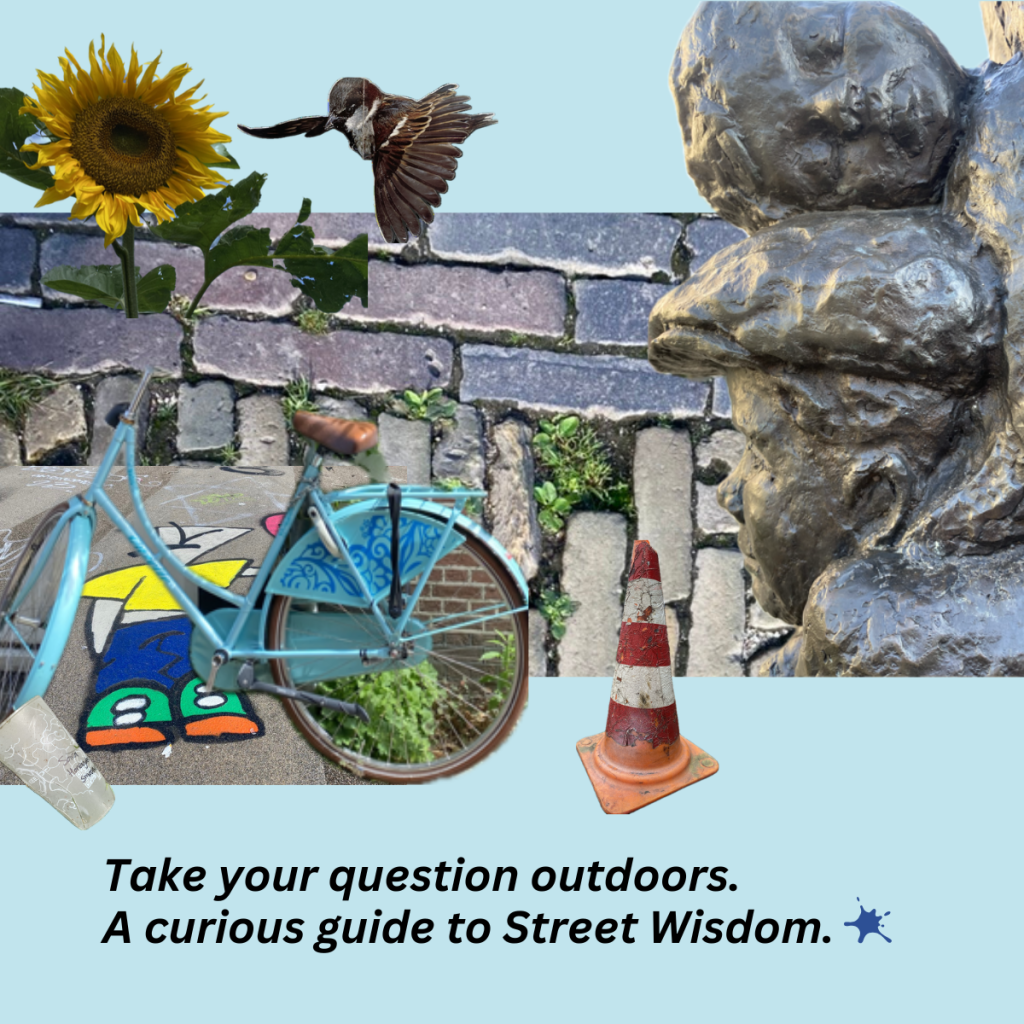 Take your question&nbsp;outdoors
