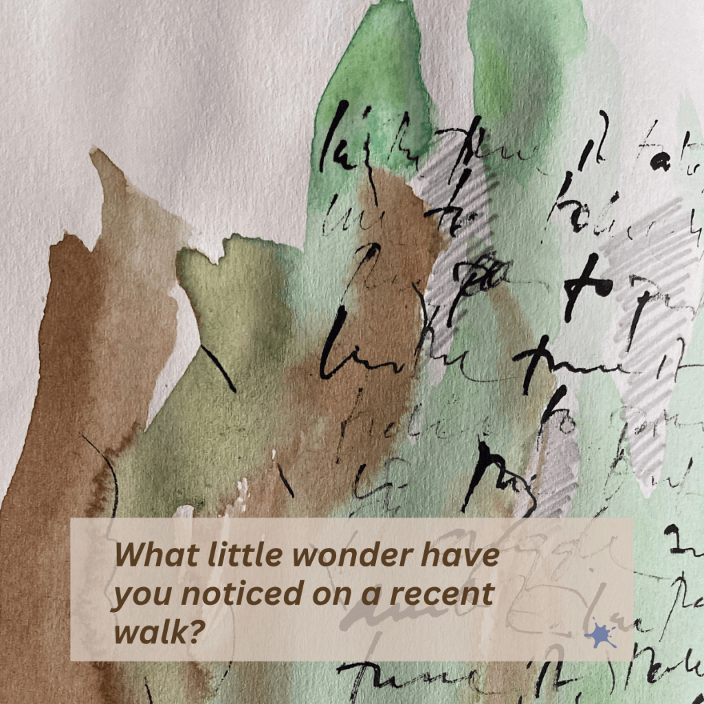 A jar full of&nbsp;wonder